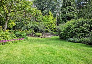 Optimiser l'expérience du jardin à Miramont-de-Quercy
